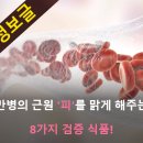 만병의 근원 피를 맑게 해주는 8가지 검증 식품 이미지