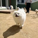 댕라이킷 이미지