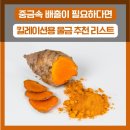 진도농협 울금가공사업소 | 중금속 배출이 필요하다면, 킬레이션용 울금 추천 리스트
