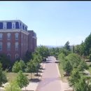 달라스당구장 이미지