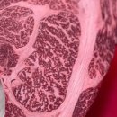 수영회식당 이미지