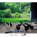 명성3농장 이미지