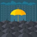 두마리토끼 이미지