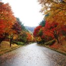 (주)동인천서비스 이미지