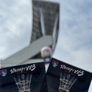 달려라호랑이 이미지