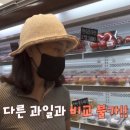 라이프룻 이미지