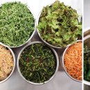 광장37호 이미지