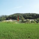 여주-1130 네이버블로그