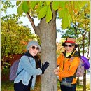 양재근린공원 이미지