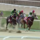 우승축산 이미지