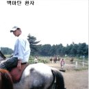 백마 이미지