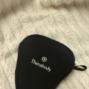 건  지 | 테라건 미니 내 돈 내산 작지만 강력한 마사지 건 사용 후기