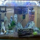 비주검도관 이미지