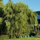 화명생태공원 오토캠핑장 이미지