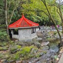 화암 | 정선 여행 / 화암약수터 효능과 물맛 후기