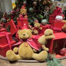 해리 | 더현대대구 해리상점 내돈내산 곰인형해리 구매후기