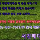 카리스메디텍 이미지