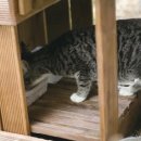 ㈜펫트코리아 이미지