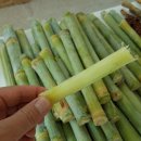 영춘농장 이미지