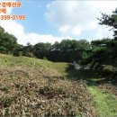 남양주동곡초등학교 이미지