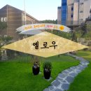 춘천오렌지충전소 | 춘천여행 자연 속 예쁜 카페! 커피 옐로우 coffee yellow