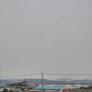 덤핑마켓