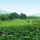 남경호텔 이미지