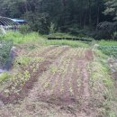 대발농장 이미지