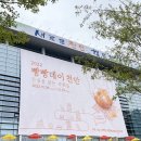천안 빵빵데이(최강수과자점, 뚜쥬르과자점) 후기