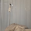 아이앤네일 - 광명시 오리로 877 | 서울아이앤 난자채취 후기