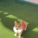 486독캠프 이미지