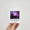 센토 | 연남동 데이트 코스 추천 | 홍대 향수 맛집 센토라 SCENTORA 솔직 후기
