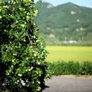 문화유산여행길(1코스) 이미지