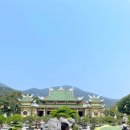 오행약국 이미지