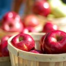 전주비타민의원 이미지