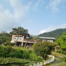 용두농장2 | 내돈내산/광주 서구 대형 애견카페, 아벤티노의 농장