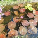 종각역 2번 출구 이미지