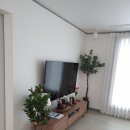 하얀집 STAY 이미지