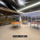 파티멜리시 이미지