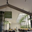 디엠팜 | 영종도 인스파이어 가든 팜 카페 재방문! 주말 런치 후기