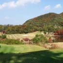 (주)그린투 네이버블로그