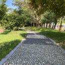 쓰담쓰담 스포츠테이핑 | 스포츠건강학과 9월 따로 또 같이 걷기 후기