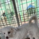 전북말산업복합센터