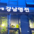 강남명전 | 강남역 맛집 강남 술집 추천 강남명전 내돈내산 후기 치즈감자전 추천