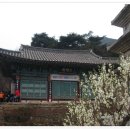 신원사