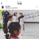 흑룡태권도장 네이버블로그