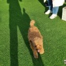 멍캐슬 네이버블로그