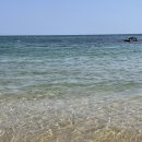 어달을 담다 이미지