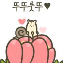두손개성만두 이미지