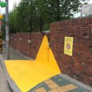 옐로카펫 이미지